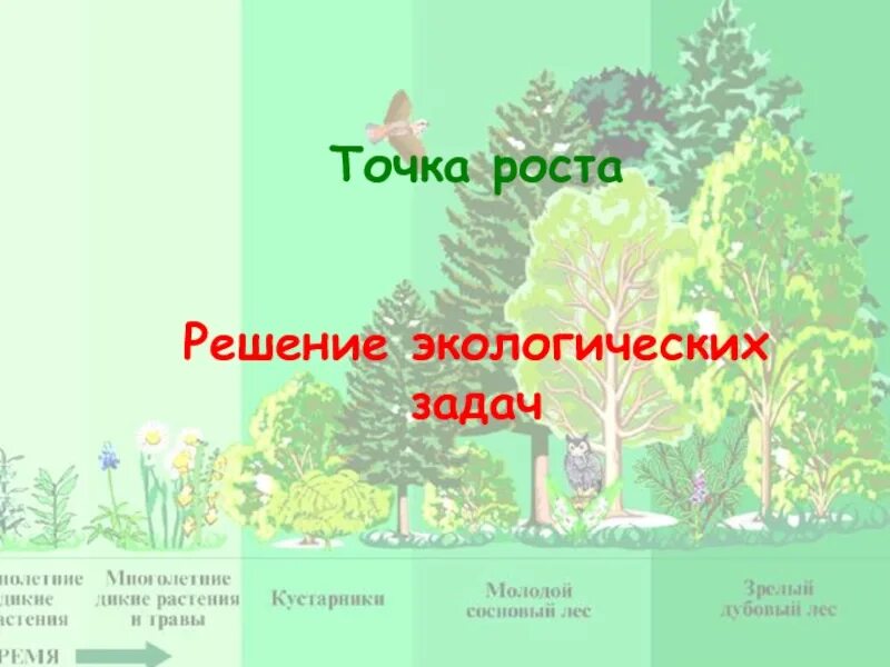 Решение экологических задач. Экологические задачи с решением по экологии. Задачи по экологии с решением и ответами. Контрольно обобщающий урок по теме экология. Практическая решение экологических задач