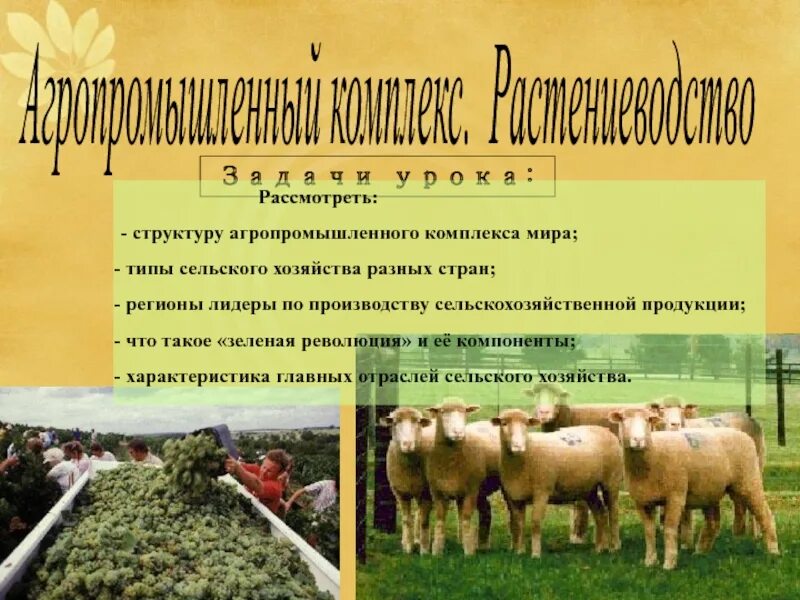 Агропромышленный комплекс Растениеводство.9 класс таблица. Агропромышленный комплекс презентация география. Растениеводство 10 класс география