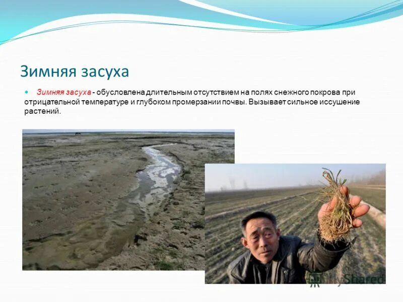 влияние на иммунную систему электромагнитных волн. в настоящее время под влиянием. влияние людей на экологию земли. желчь выполняет функции. изменение поведения человека.