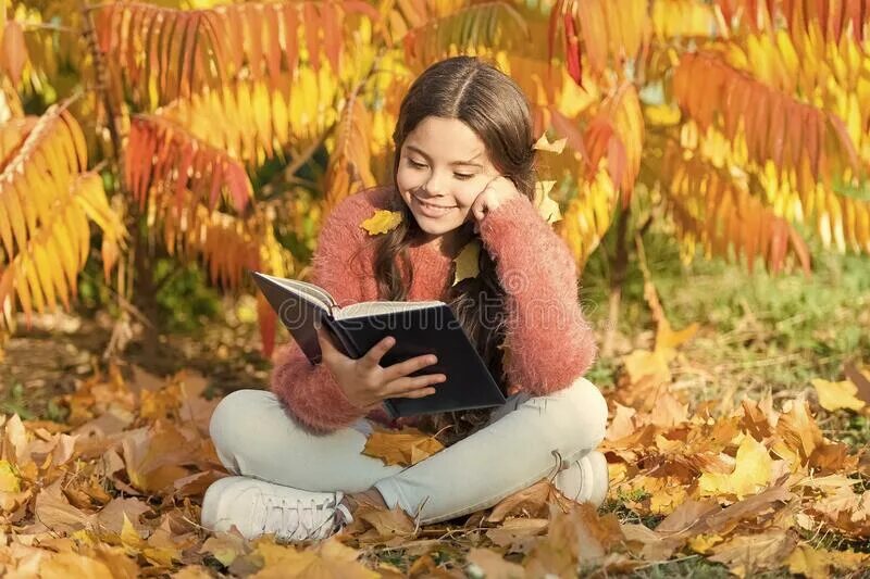 Study every day