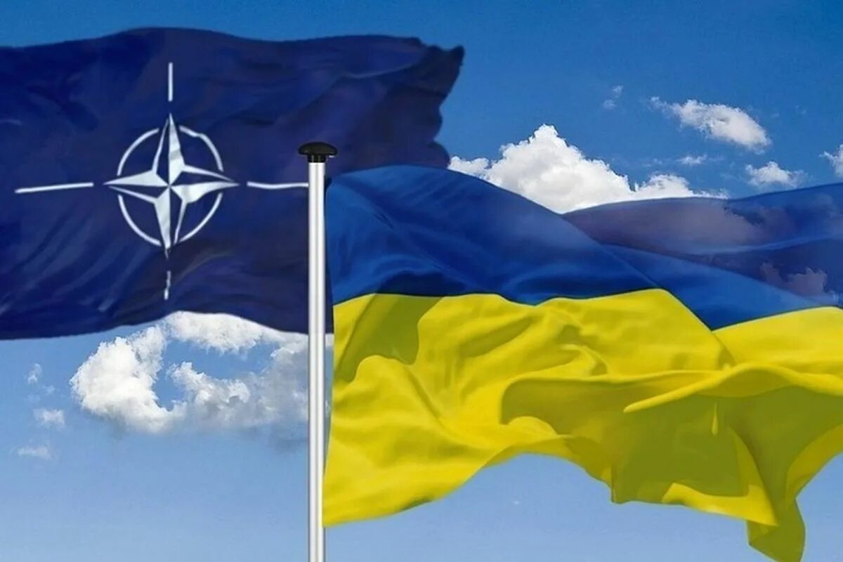Членство украины. Флаг Украины и НАТО. Флаг Украины ЕС НАТО. Флаг Украины , ЕС, НАТО, США. Флаг НАТО.