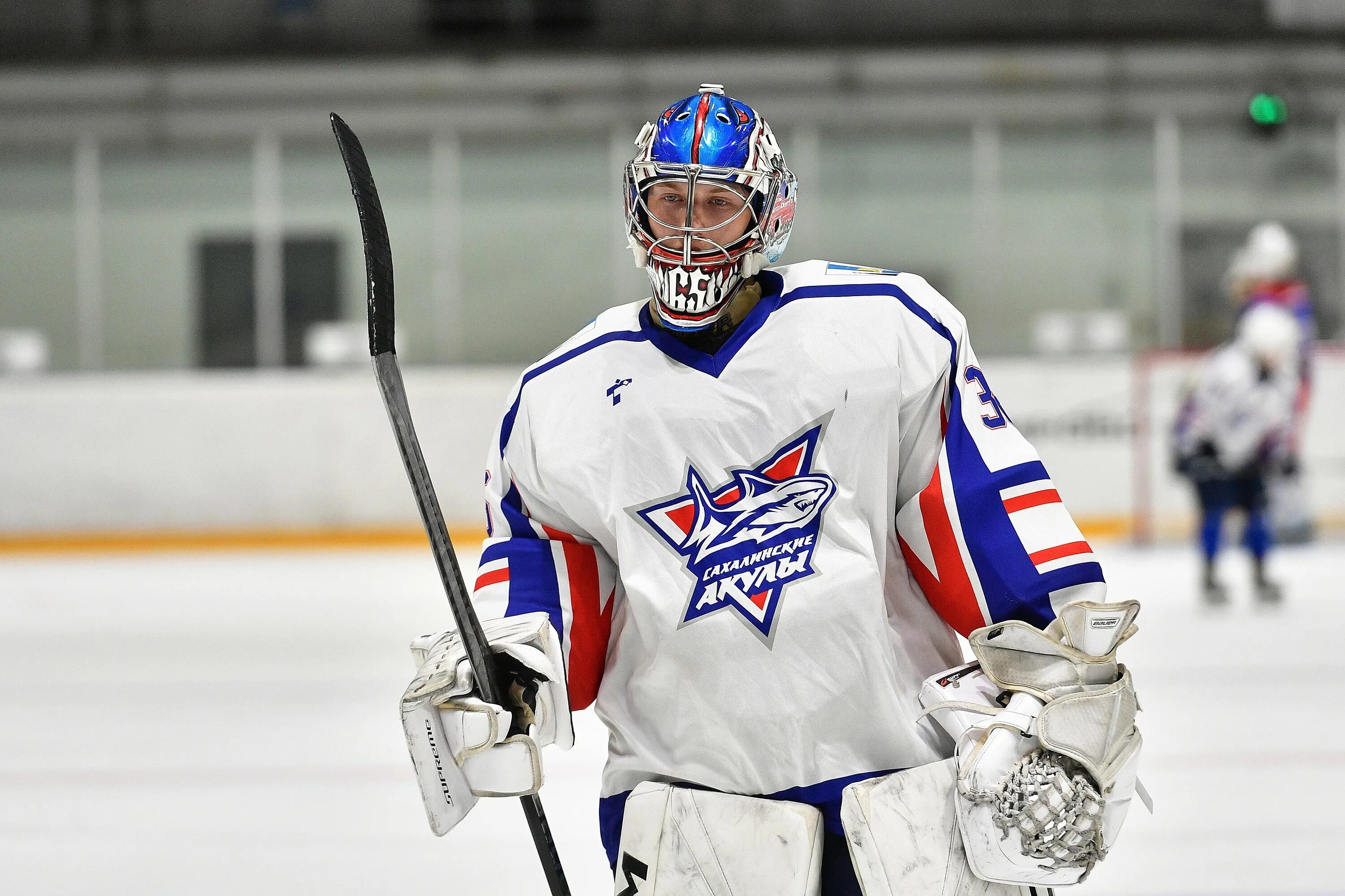 академия сахалинские акулы