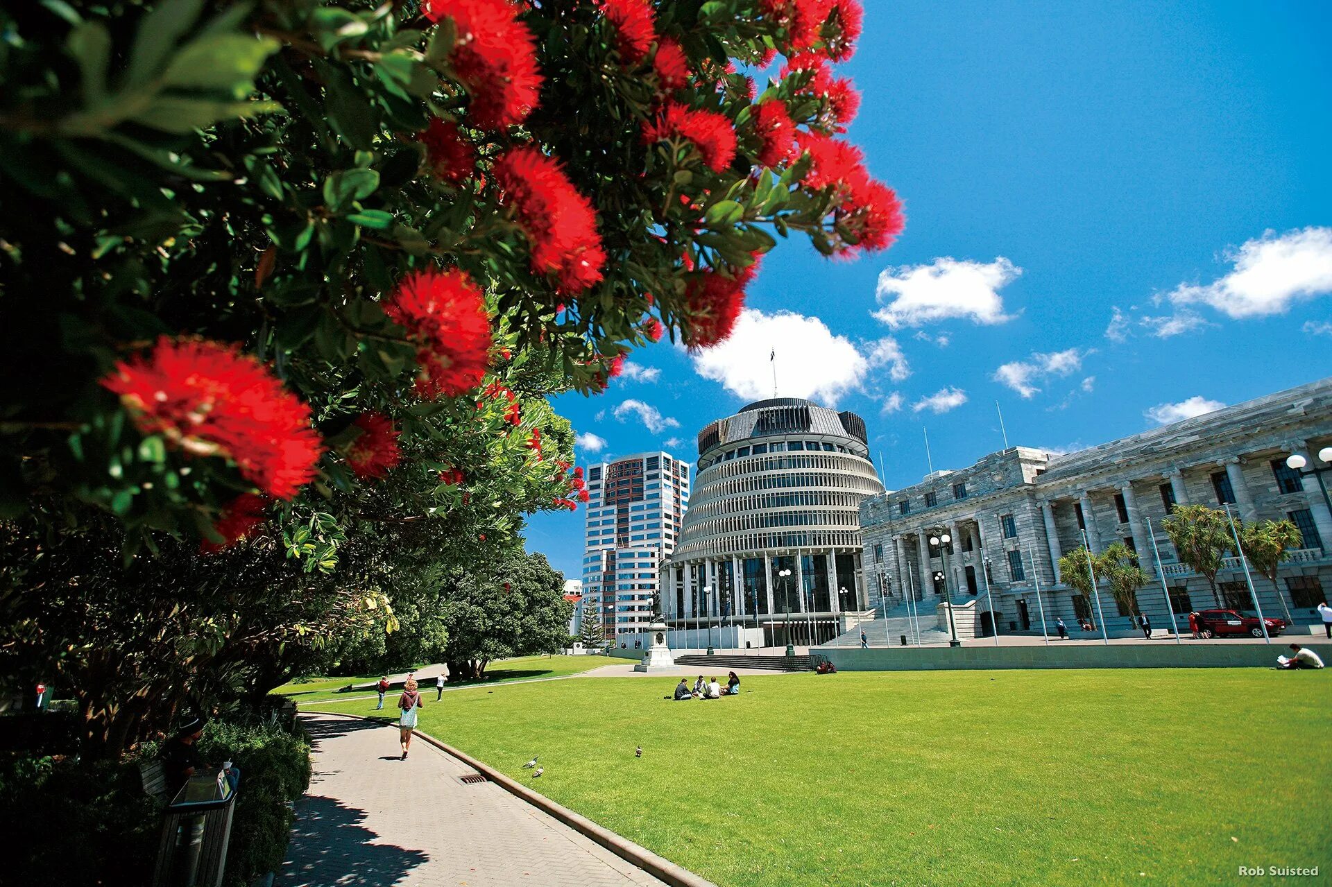 New zealand capital. Веллингтон (новая Зеландия). Веллингтон столица. Новая Зеландия столица Веллингтон. Веллингтон Иллинойс.