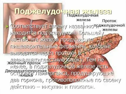 Психосоматика болезней поджелудочной железы