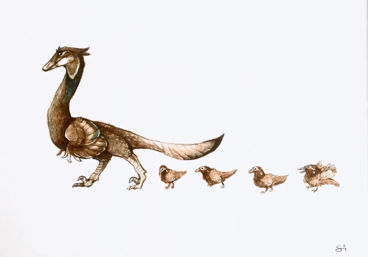 Птицы потомки. Эволюция динозавров. Эволюция птиц. Птица динозавр. Птицы потомки динозавров.