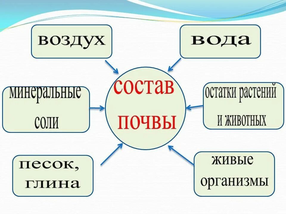 Сравни воздух и воду. Свойства почвы 3 класс. Свойства почвы схема. Главное свойство почвы 4 класс. Состав почвы схема.