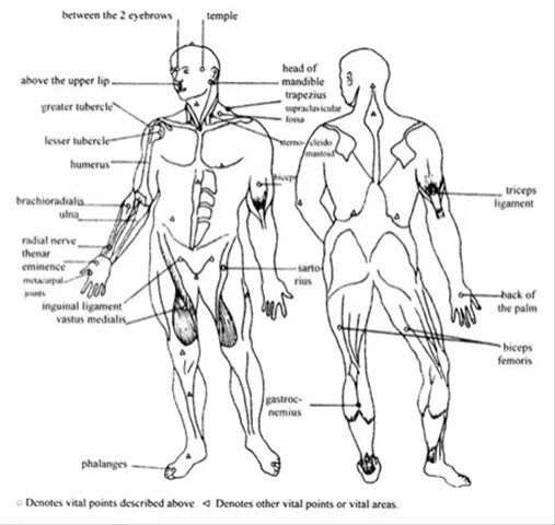 Болевые точки у человека на теле схема. Джиу-джитсу болевые точки. Слабые места человека. Точки мармы.