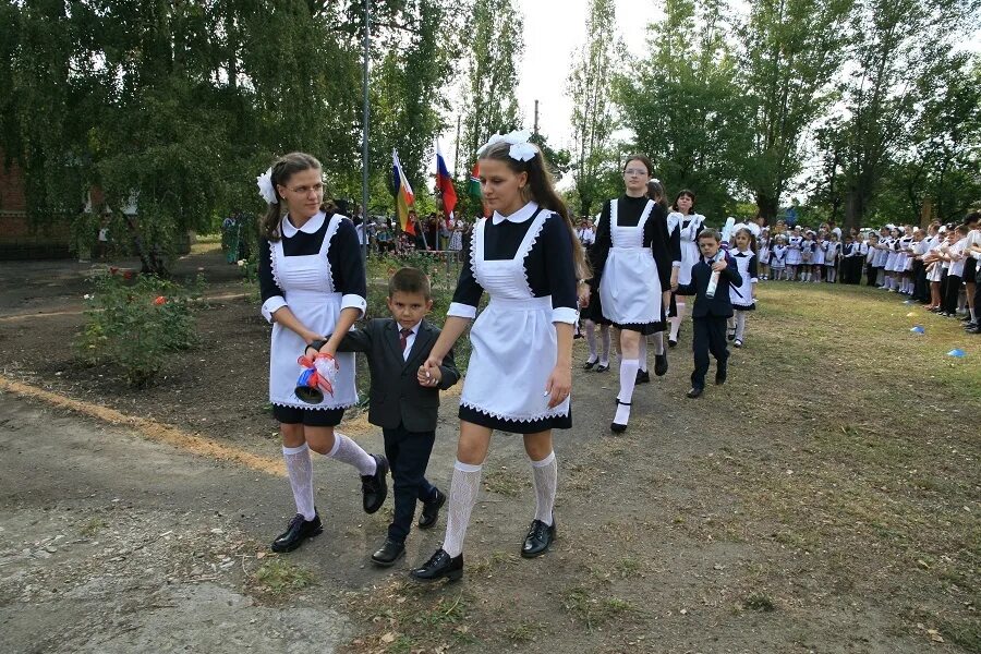 Какая школьная форма будет в 2024 году. Украинская школьная форма. единая форма. школьная форма самчук.