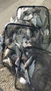 Кудиновский карьер рыбалка