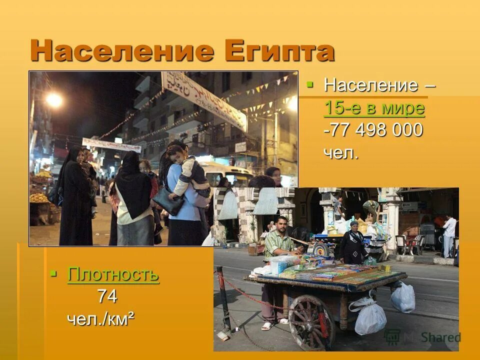 Площадь населения египта. Население египта. численность населения египта. плотность населения египта. проценты городского населения в египте.