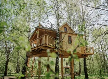 Лапочкино гнездо тульская