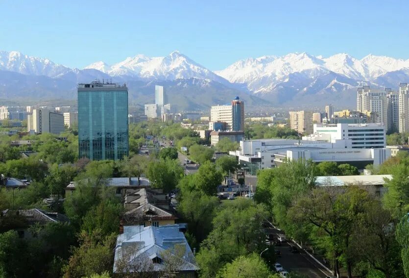 Am almaty. Алматы Travel. Favor City view Алматы. NAGARAKU Алматы. Almaty bustrict.