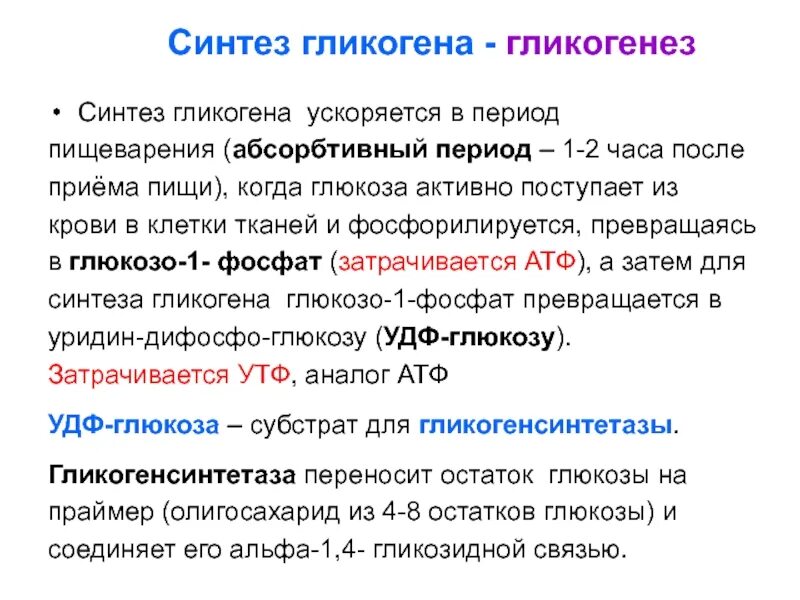 Синтез гликогена гликогенез. Синтез гликогена (гликогеногенез).. "Гликогеногенез — Биосинтез гликогена".