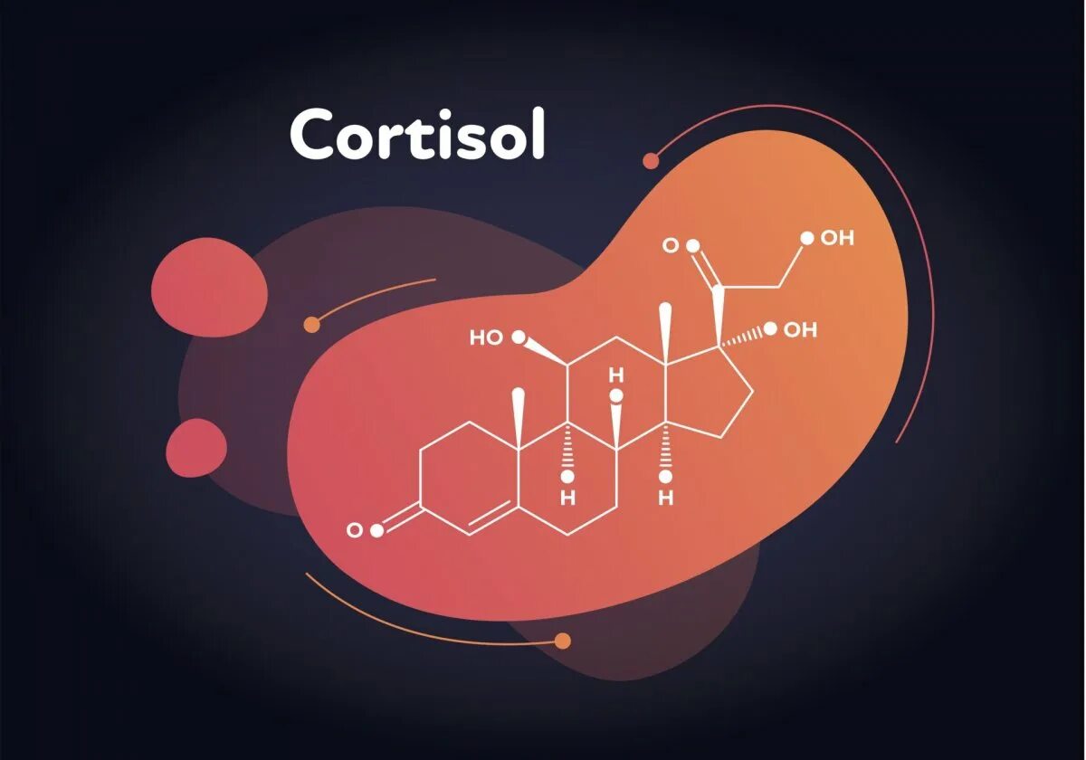 Выброс гормонов стресса. Кортизол. Кортизол картинки. Гормон кортизол рисунок. Стресс кортизол.