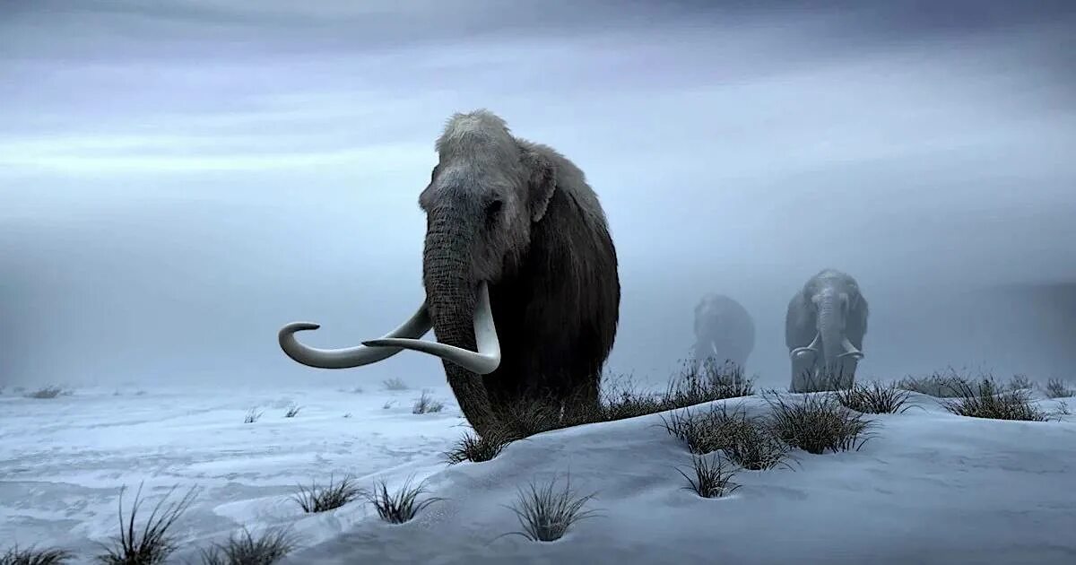 Когда будет ледниковый. Белка из ледникового периода 2022. Ice age 2002. Скрат и континентальный излом 2010. Сид вид сбоку ледниковый период.