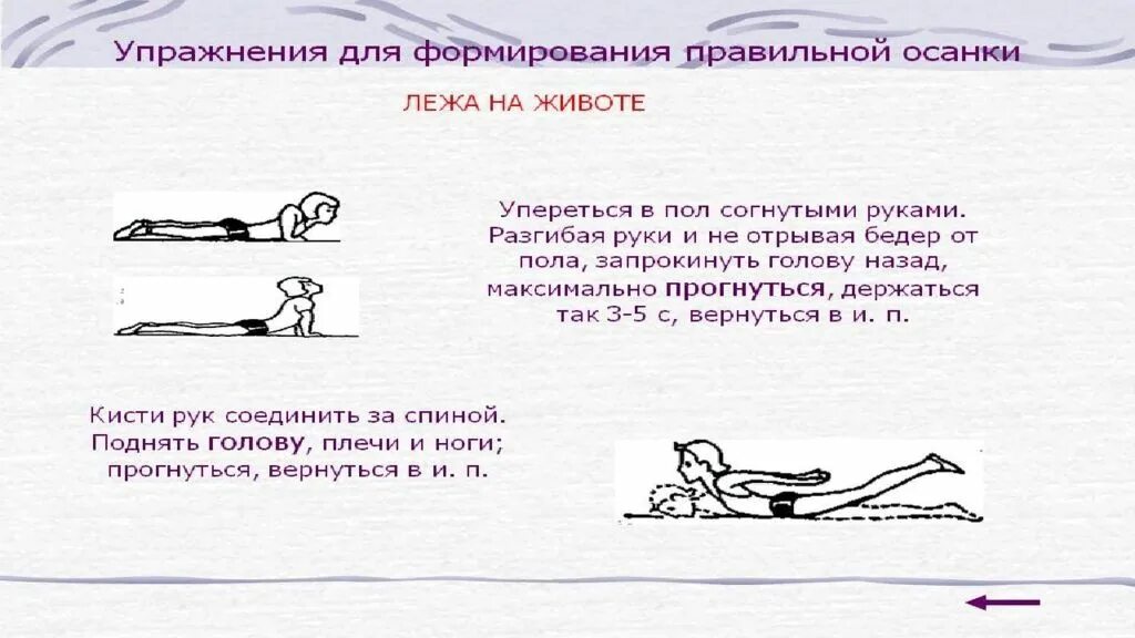 Гимнастическое упражнение способствовать правильному формированию осанки. Гимнастика для формирования правильной осанки. комплекс упражнений для осанки. упражнения для осанки для детей. упражнения для правильной осанки для дошкольников.