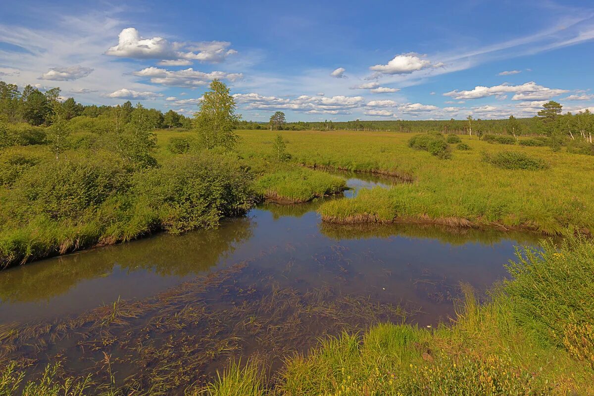 Река омь на карте. Начало реки омь. Река иртыш на карте. Бассейн реки иртыш. Притоки реки омь.