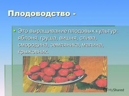 Чем занимается плодоводство