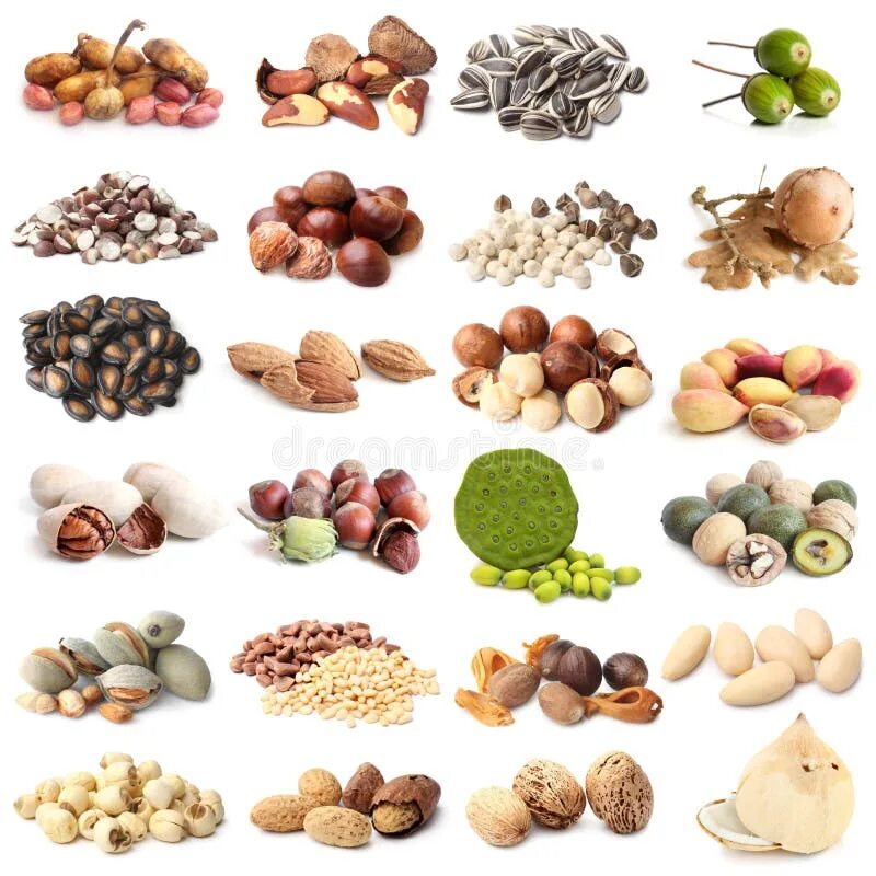 Коллекция орехов. Nuts and Seeds collection. Nuts White background. Alee_nut Instagram. Polya nuts инстаграм