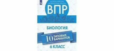 Впр по биологии 11 2024