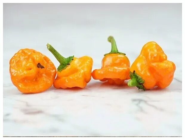 Less peppers. Перец колокольчик (Scotch Bonnet). Scotch Bonnet Yellow перец. Перец сладкий Sweet Pepper Scotch Bonnet Orange. Scotch Bonnet жёлтый.