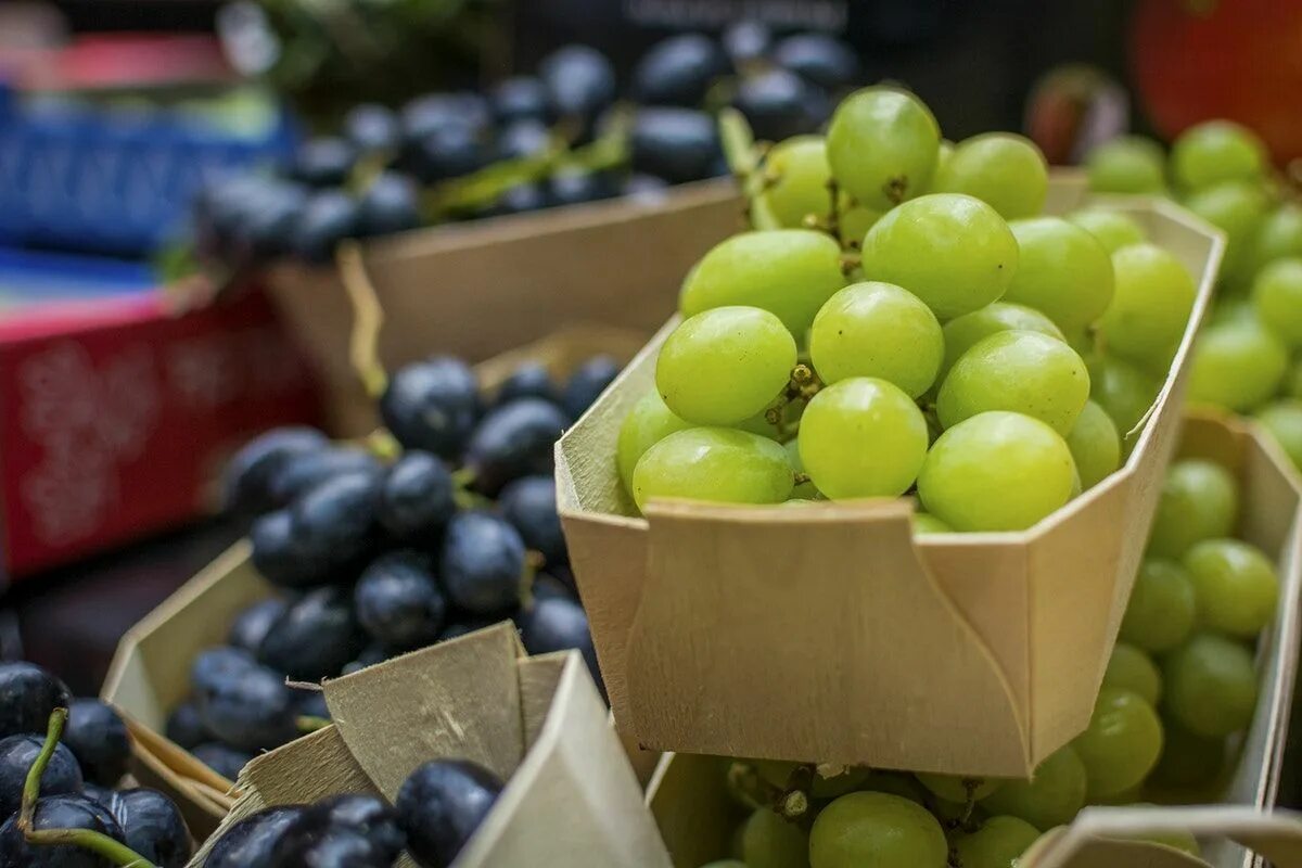 Grape fresher. Фреш виноград. виноград маркет. grape fresh.