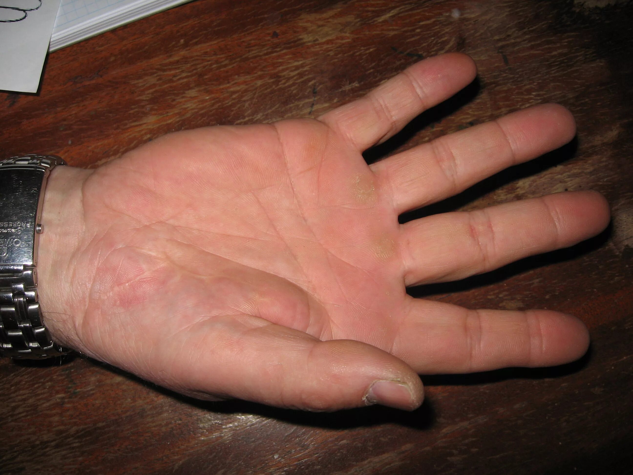 ладонь. мужская ладонь. мужские ладошки. ладонь человека. мужская ладонь.