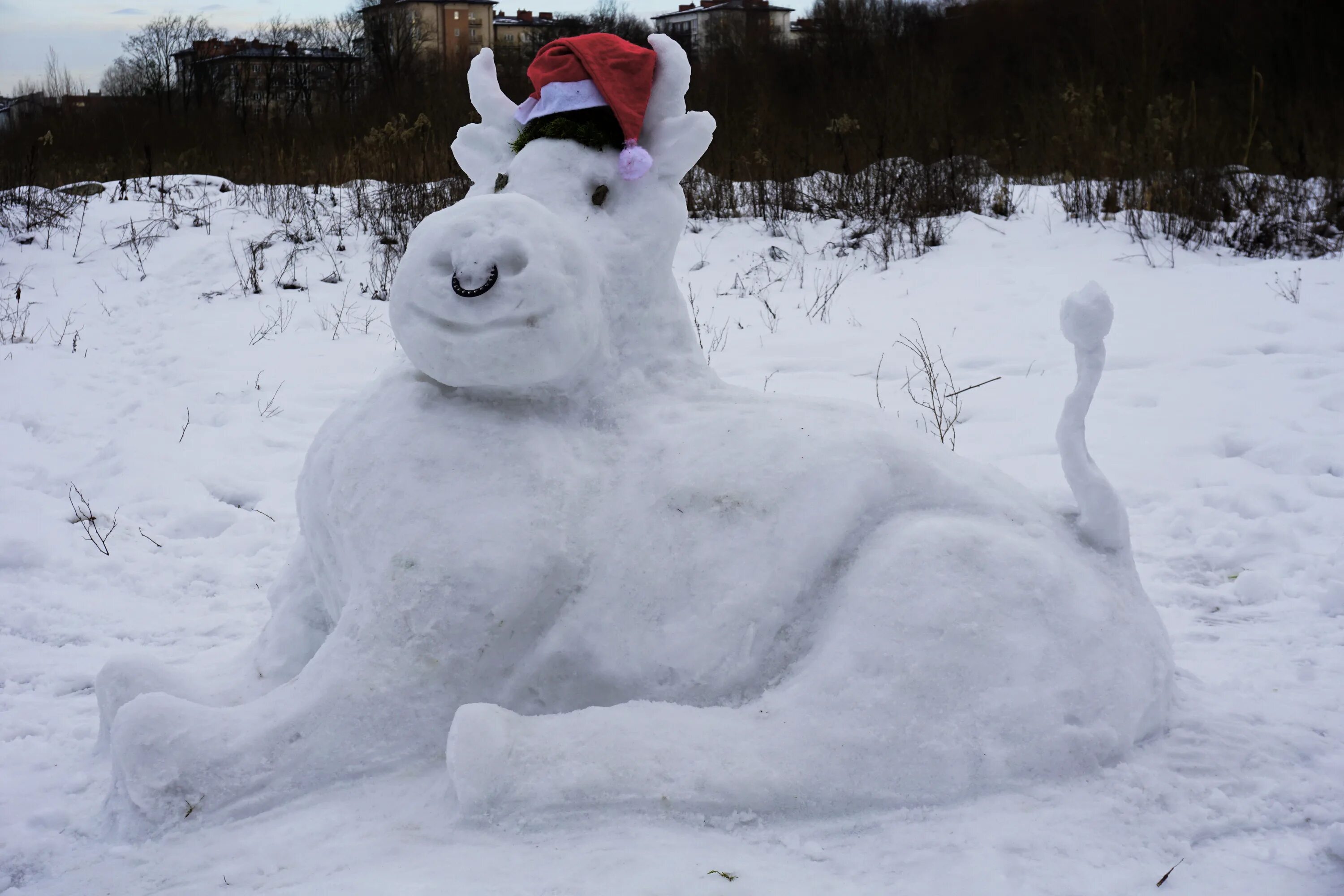 конкурс снежных фигур название. конкурс снежных королев. конкурс снежных королев. конкурс снежных фигур тигр. формы для лепки снежных фигур.