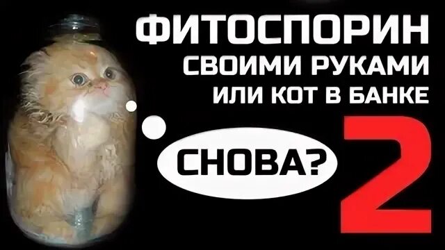 Банка забанить