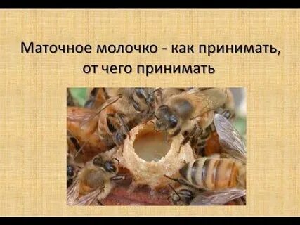 Как принимают матку