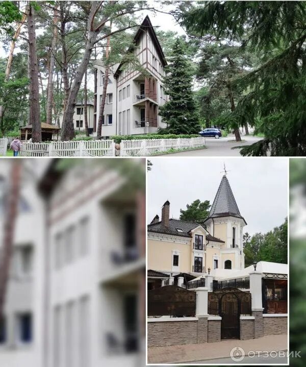 Светлогорск калининградская область. Светлогорск памятники. Светлогорск калининградская область. Светлогорск медленный город. Светлогорск медленный город.