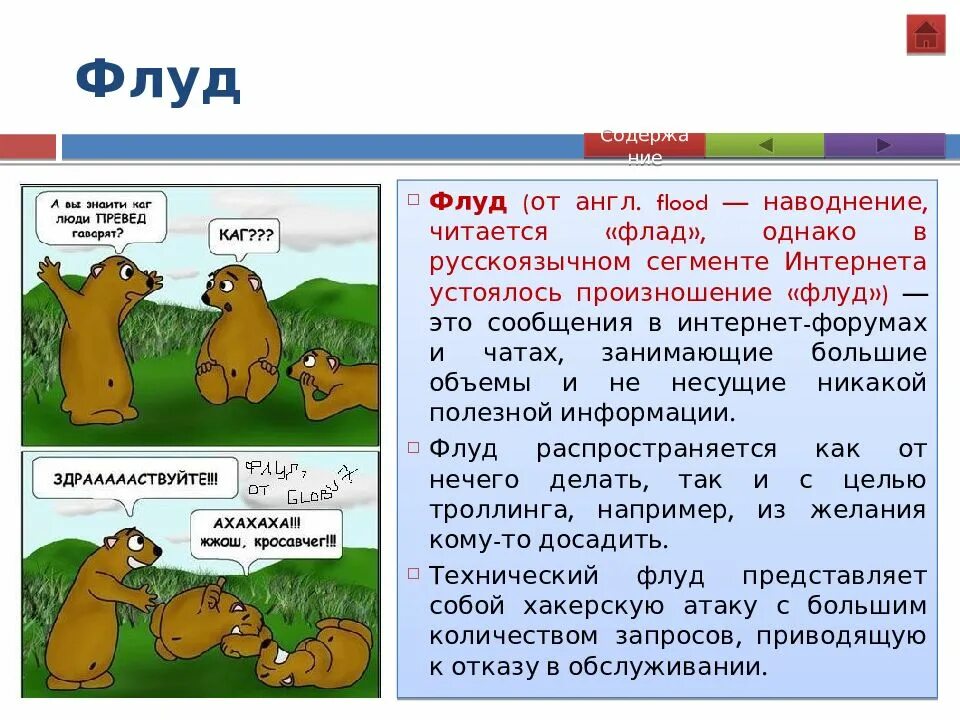 Что такое флудить в чате. Флуд в интернете. Flood произношение. Флуд это простыми словами. Что такое флуд простыми словами