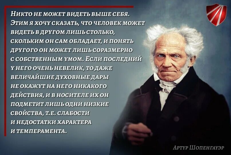 Шопенгауэр о жизни. Шопенгауэр высказывания. Высказывания Шопенгауэра о женщинах. Цитаты Шопенгауэра.