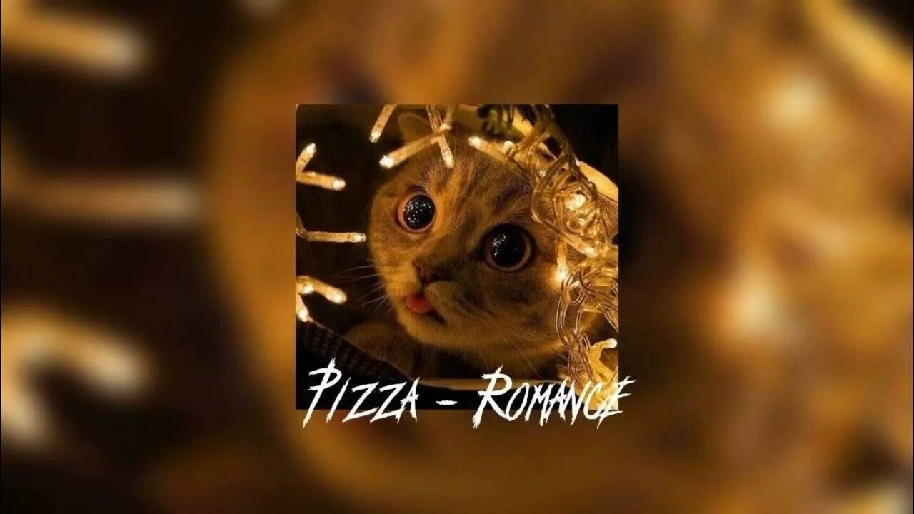 Пицца романс Speed up. Тише pizza. Романс пицца Speed up Reverb. Обои котика на романс Speed up. Speed romance