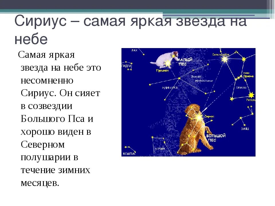 Сириус звезда какого созвездия. Самая яркая звезда на небе. Сириус самая яркая звезда. Рассказ о звезде Сириус. Рассказ о звездах.