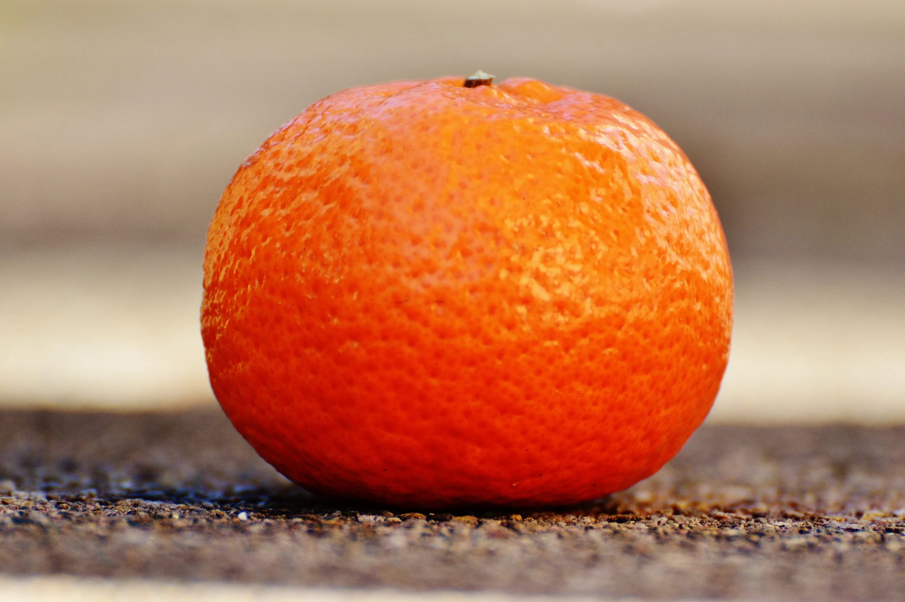 Download wallpaper 1920x1080 tangerines, fruits, leaves, drops, rain full hd, hd