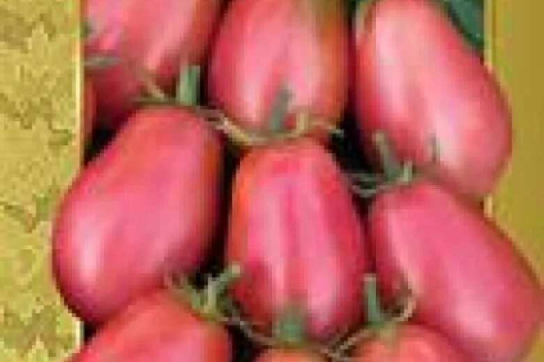 Томат колокола россии. Томат черри кварц мультифлора. Томат царь колокол 20шт. Штамбовые томаты. Томат черри красный колокольчик.