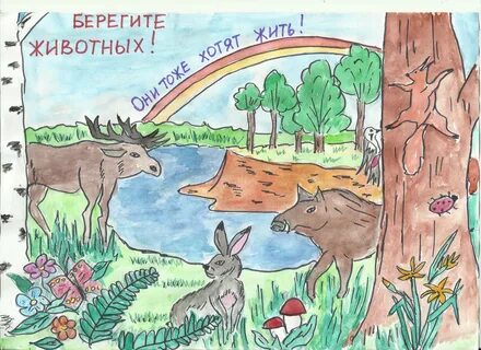 Берегите животных нарисовать карандашом