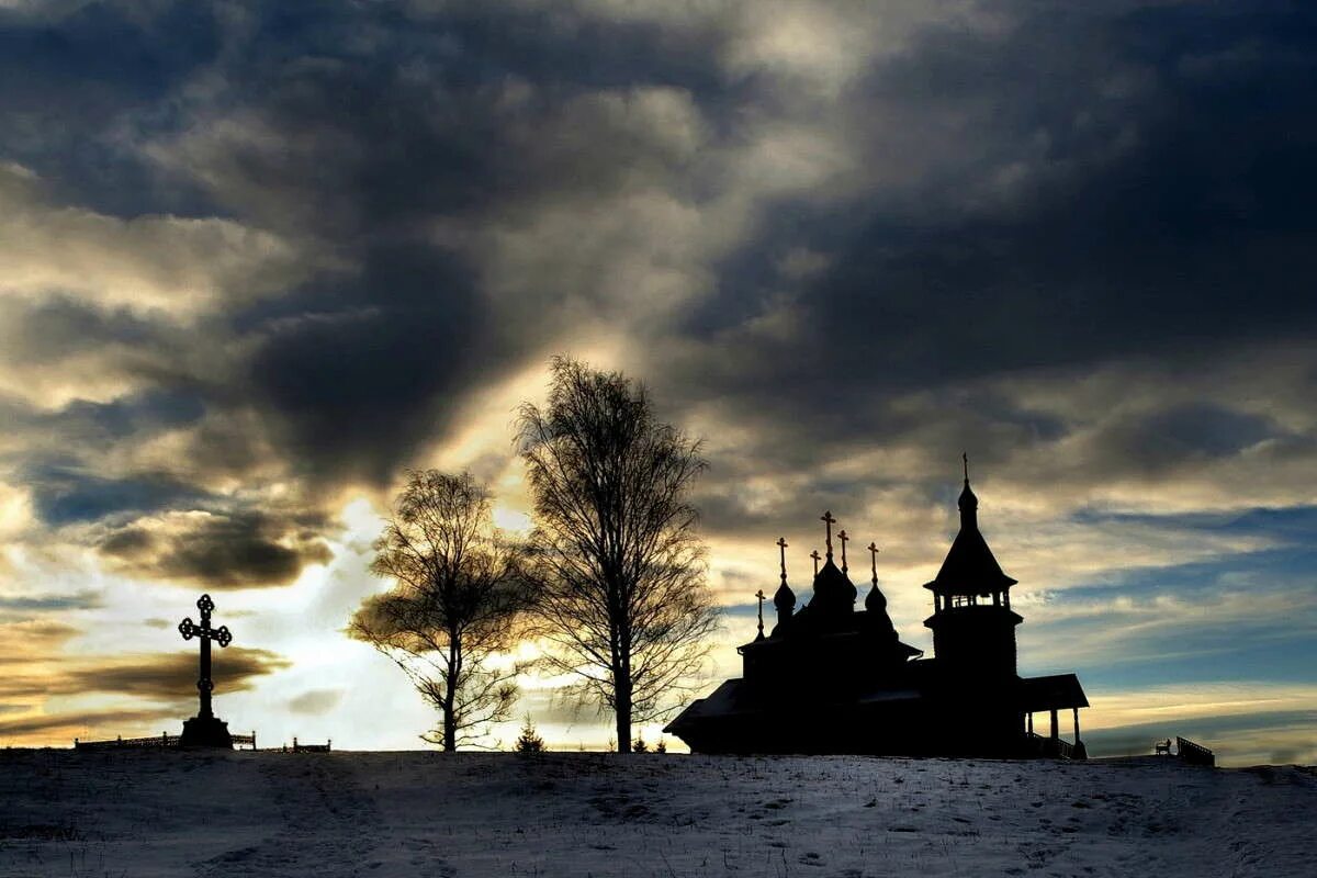 сумрак фотографии. сумрак пейзаж. лес сумерки. лес сумерки. сумрак фото.