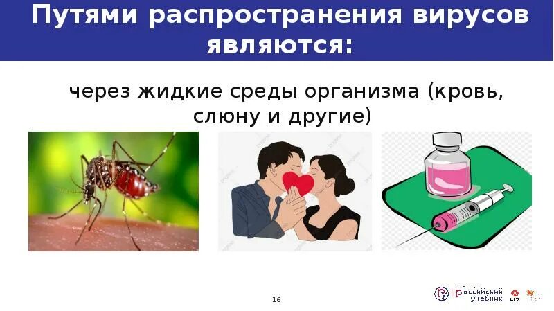 Вирусы через слюну. Распространение вируса. Пути распространения вирусов. Путь распространения инфекции через слюну. Источники распространения вирусов.