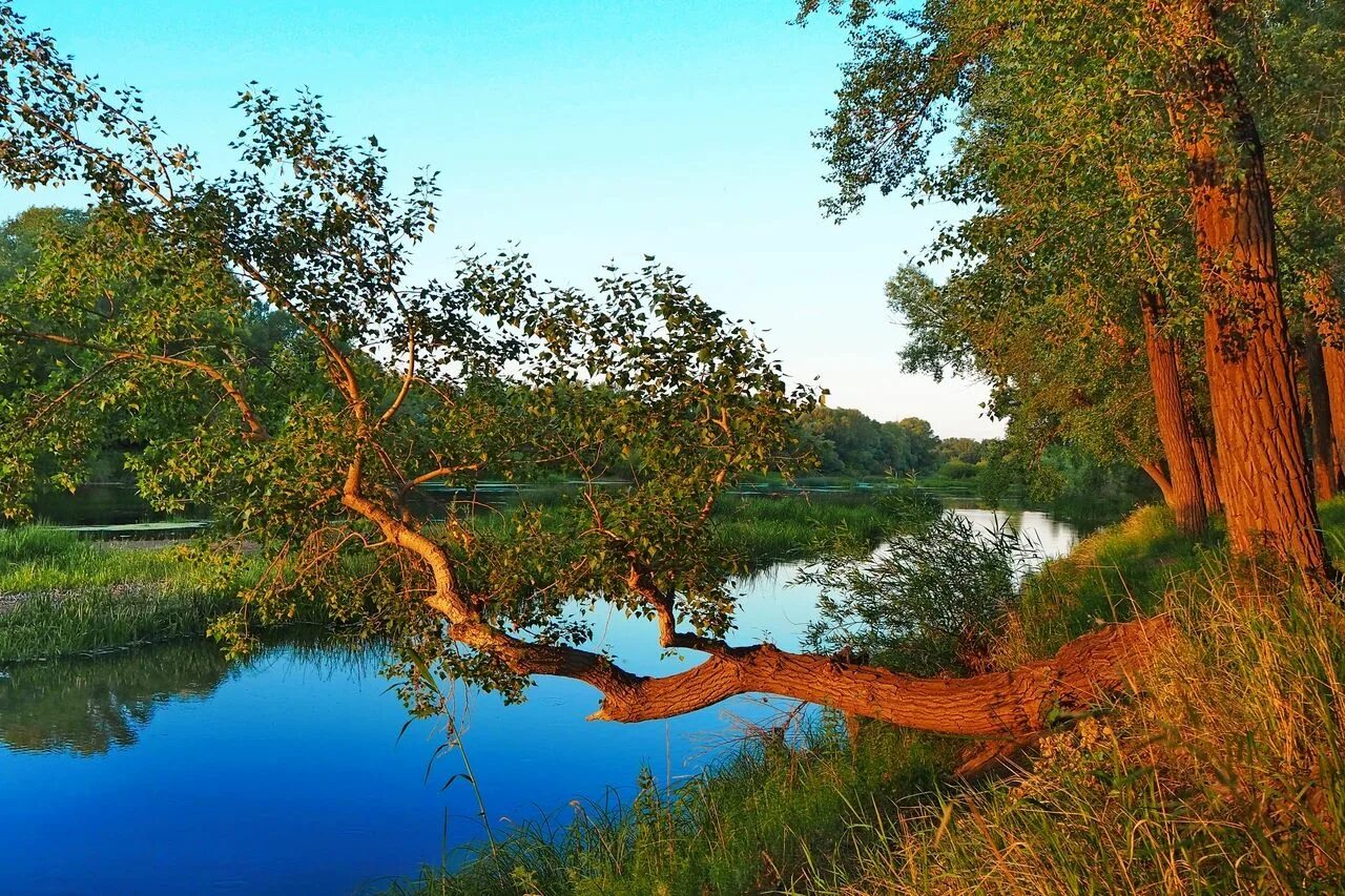 Родные просторы природа Оренбургского края. Река Урал в Оренбургской области. Оренбург река лето. Природа на Урале Оренбургской области.