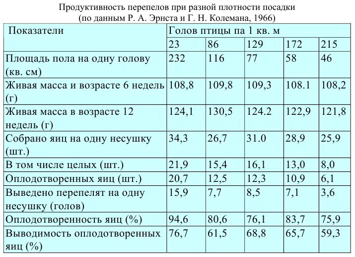 Температура содержания перепелов. Нормы содержания перепелов. норма содержания перепелов на квадратный метр. перепела плотность посадки в клетки. нормы площади для перепелов.