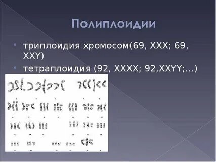 Триплоидия