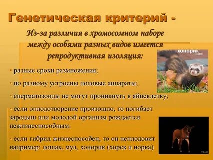 Репродуктивная изоляция служит причиной микроэволюции
