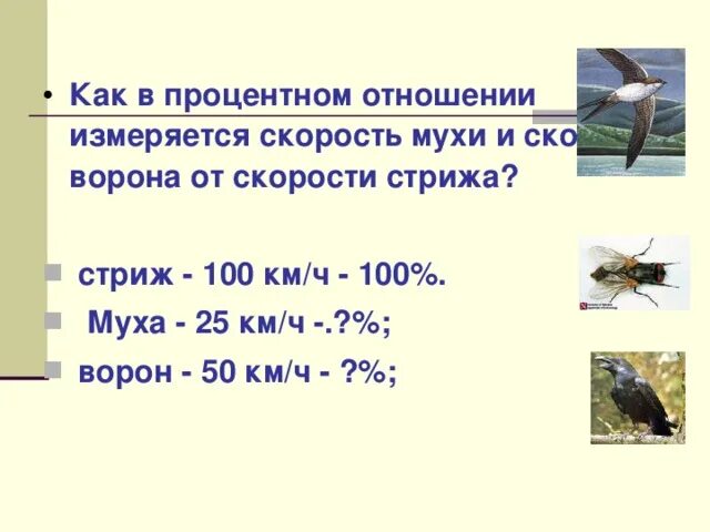 Скорость полета стрижа. Скорость полета птиц. Скорость полета мухи. Максимальная высота полета птиц. Скорость полёта птиц таблица.