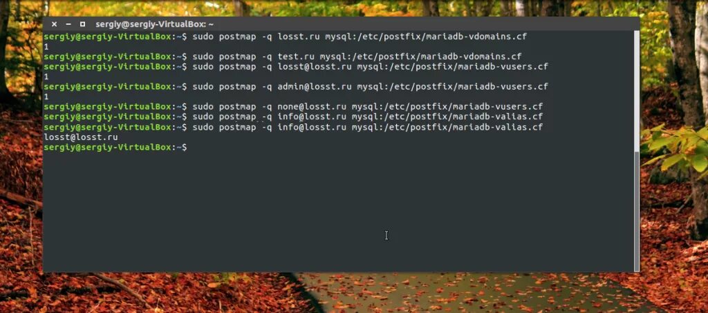 Etc mysql