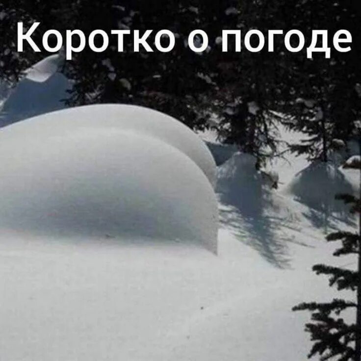 Погода остановись. Шутки про зиму. Коротко о погоде. Приколы зимой. Статусы про зиму.