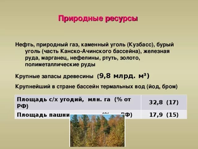 Природные богатства Кузбасса. Сообщение о природных богатствах Кузбасса. Прирлдные ресурсы Кузбасс. Природные богатства Кузбасса 4 класс. Какими природными богатствами славится самарская область