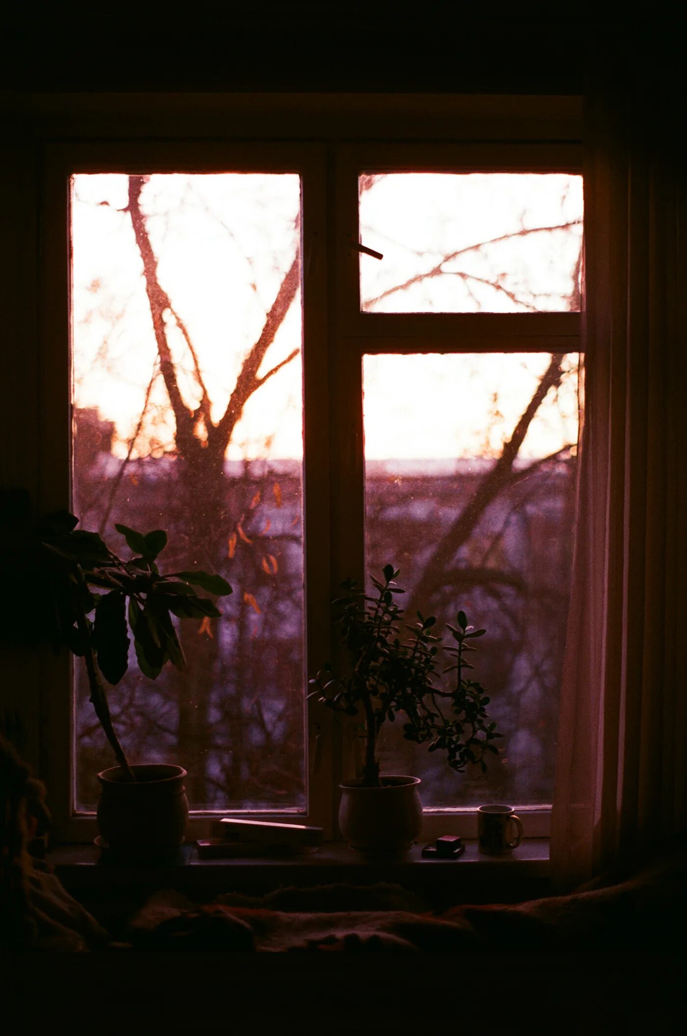 Год окну жизни. Страшный вид из окна. Окно жизни. Жизнь за окном. Красота за окном.