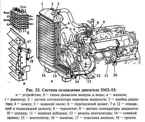 Система охлаждения двигателя змз 53. Система охлаждения двигателя газ 3307. Охлаждение двигателя газ 53. Система охлаждения двигателя змз 53. Система охлаждения двигателя змз 24д.